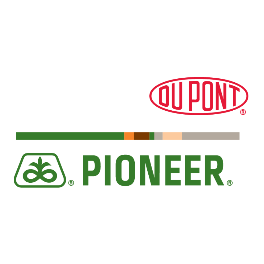 pioneer