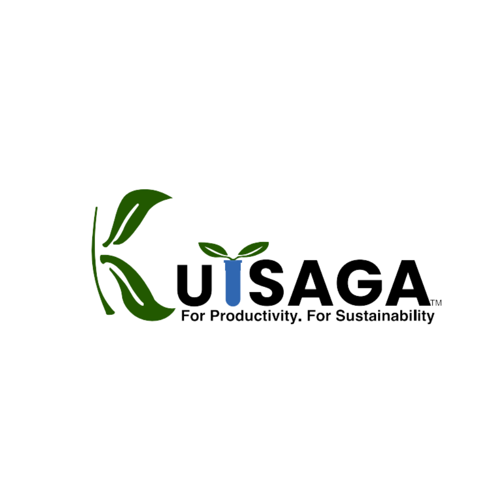 kutsaga