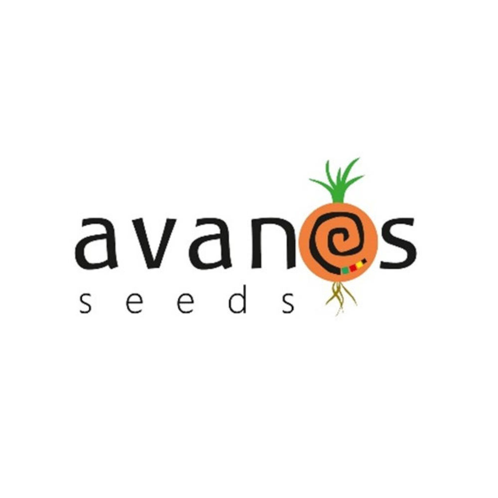 avanos-seeds